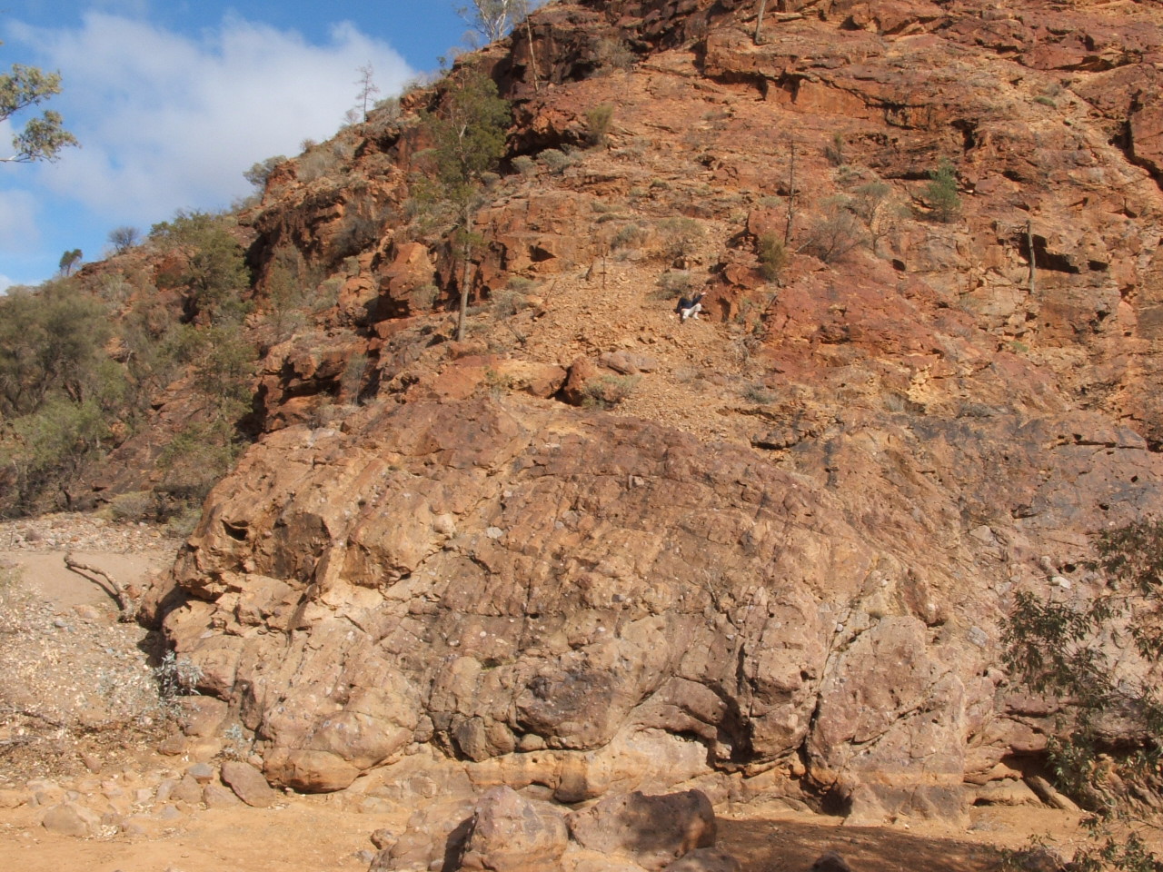 Arkaroola